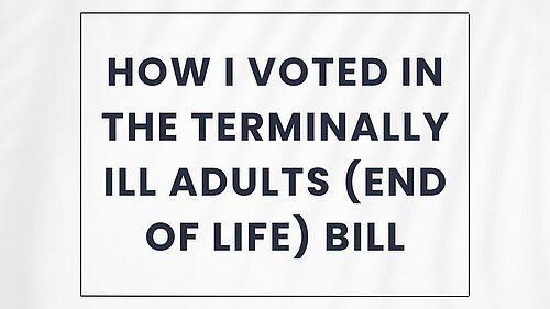 How I Voted