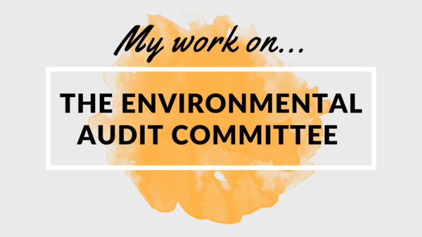 Environmental Audit Committee